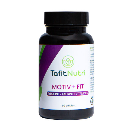 Motiv+ Fit