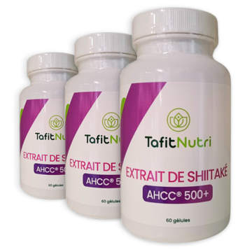 Mycélium de Shiitaké AHCC® 500+ Cure