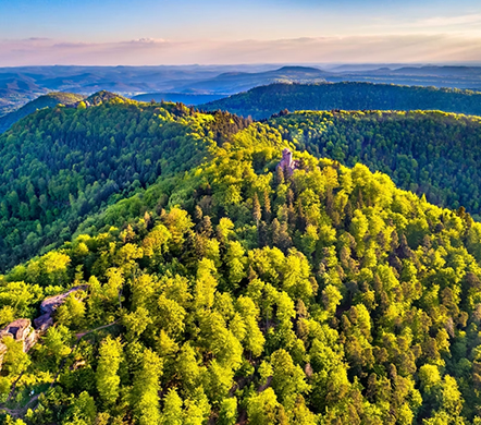 Min&eacute;raux et oligo-&eacute;l&eacute;ments